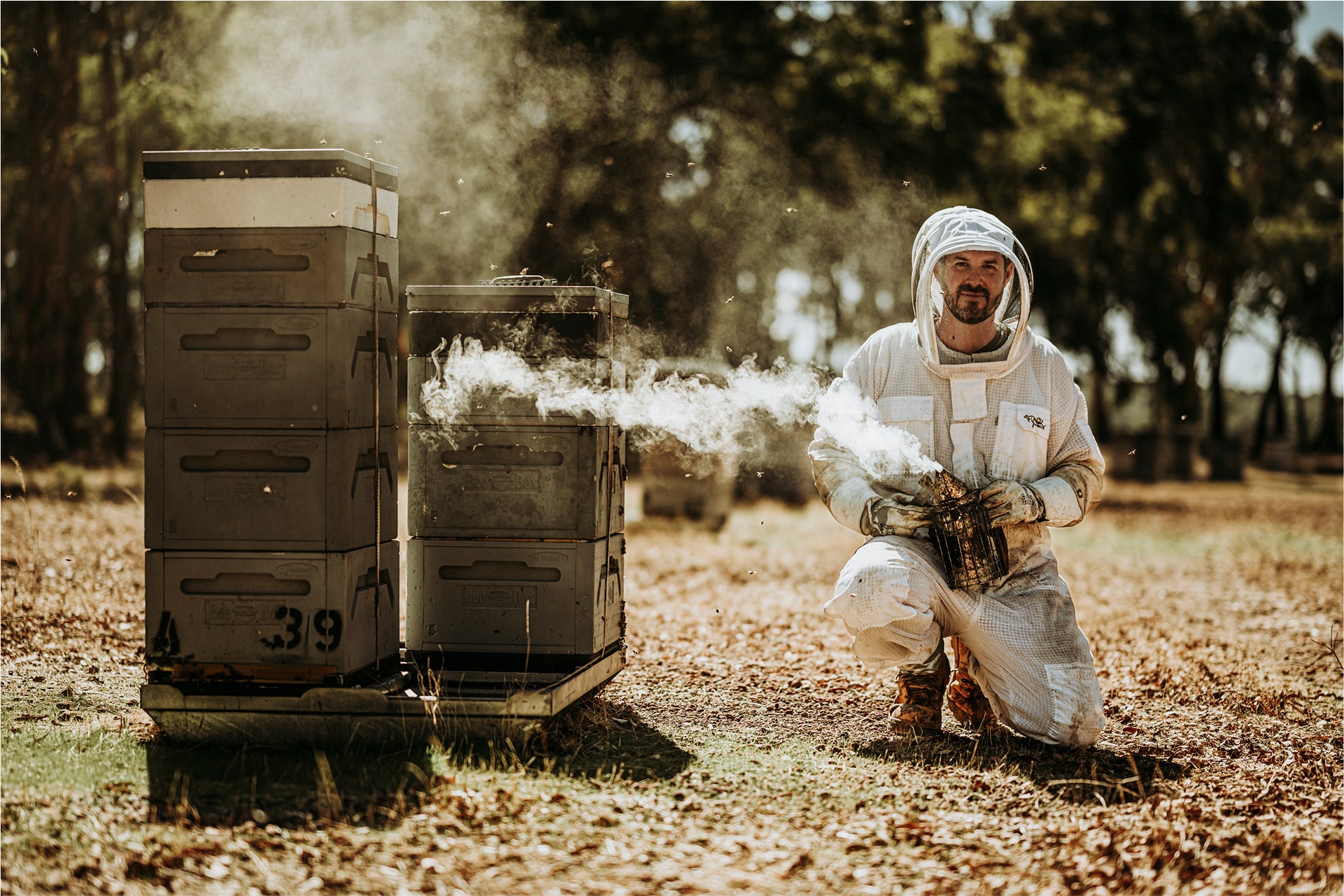 The Rare Honey Company - 100% raw, cold filtered, small batch honey